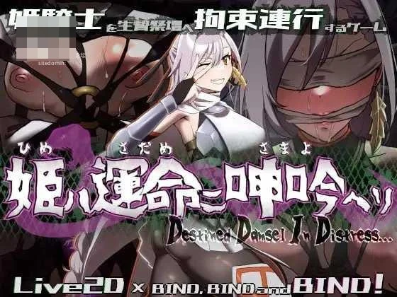 命运低吟的公主 / Destined Damsel In Distress 【776m】【PC】【官中+无码】【百度云/FM】【ARPG】
