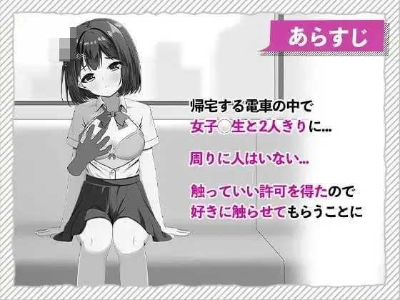 快感痴汉触摸电车 〔生肉〕【pc】〔3.55G〕【SLG】〔FM/百度云〕