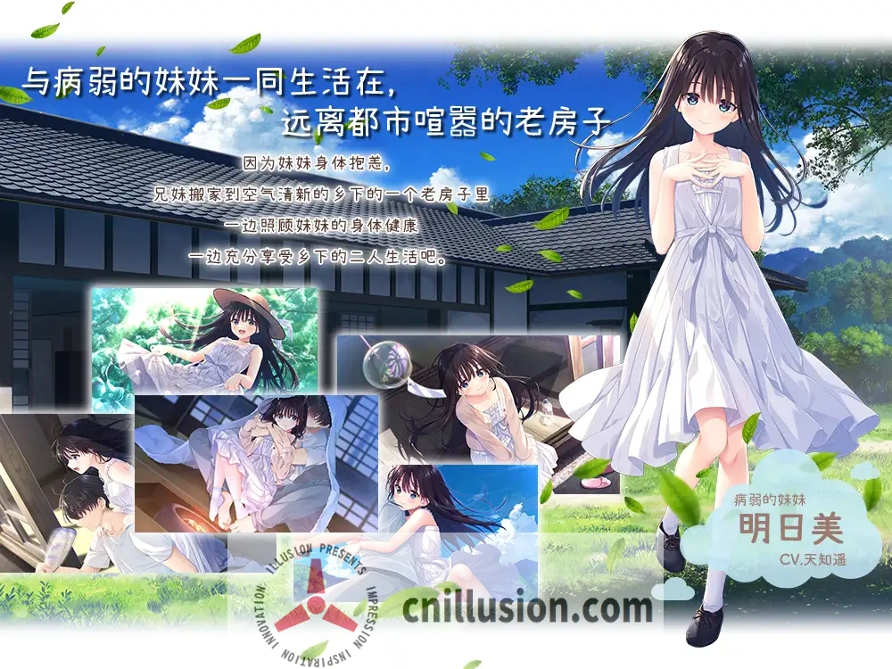 【RPG/官中/动态无码】痴情哥哥与病弱妹妹的乡间生活 官方中文步兵版+DLC1&2【3G】【微云网盘/直链】