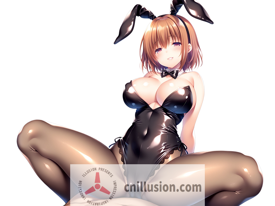 [RPG/官中/动态] 魅魔遗迹 Ver1.10 官方中文 [700M/FM/WY]